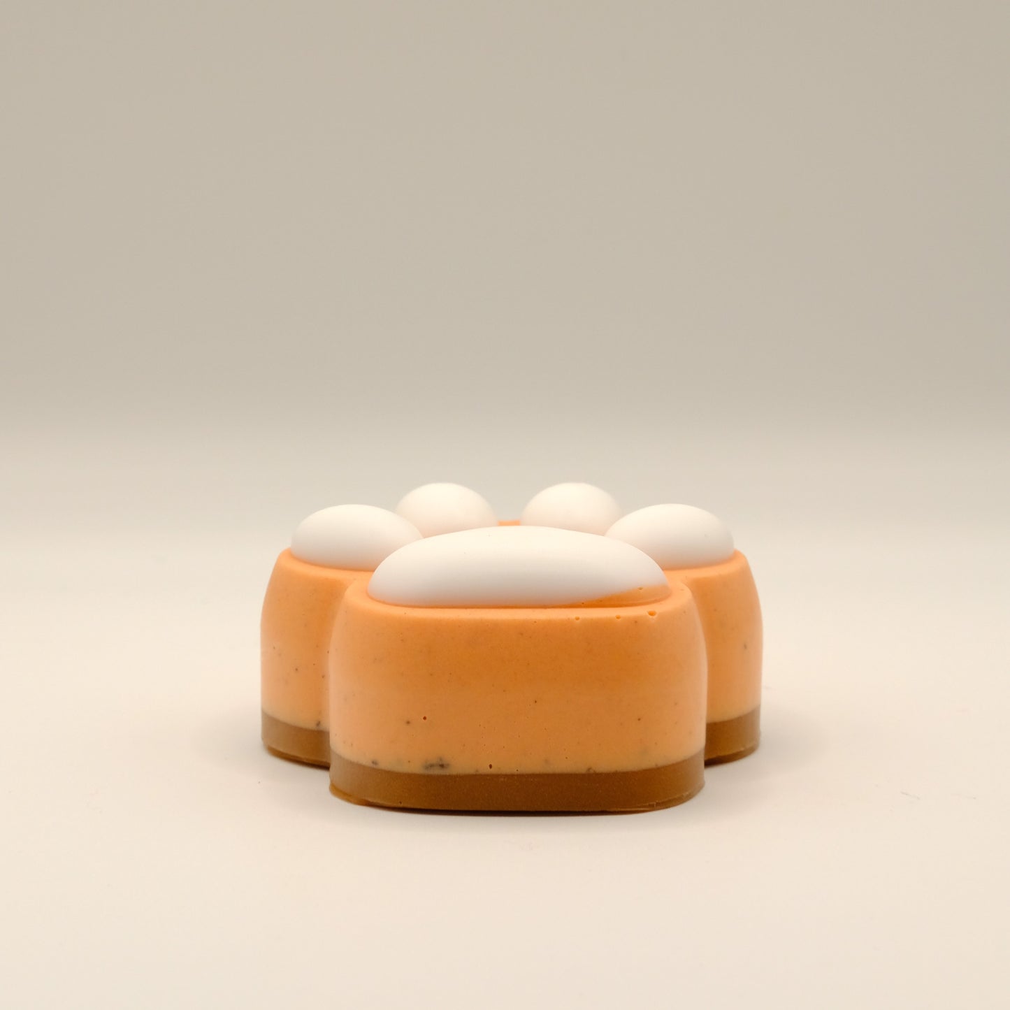 Sweet Pumpkin Scented Paw Soap