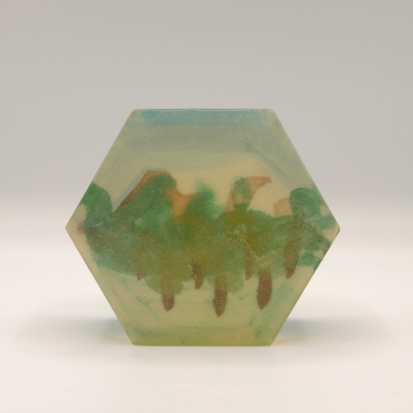 Hexagonal soap bar with tree illustration painted on the inside on a white background