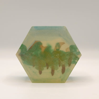 Hexagonal soap bar with tree illustration painted on the inside on a white background