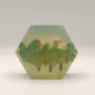 Hexagonal soap bar with tree illustration painted on the inside on a white background
