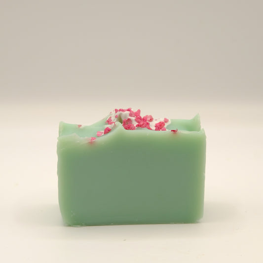 Green soap bar with pink specks on a light gray background