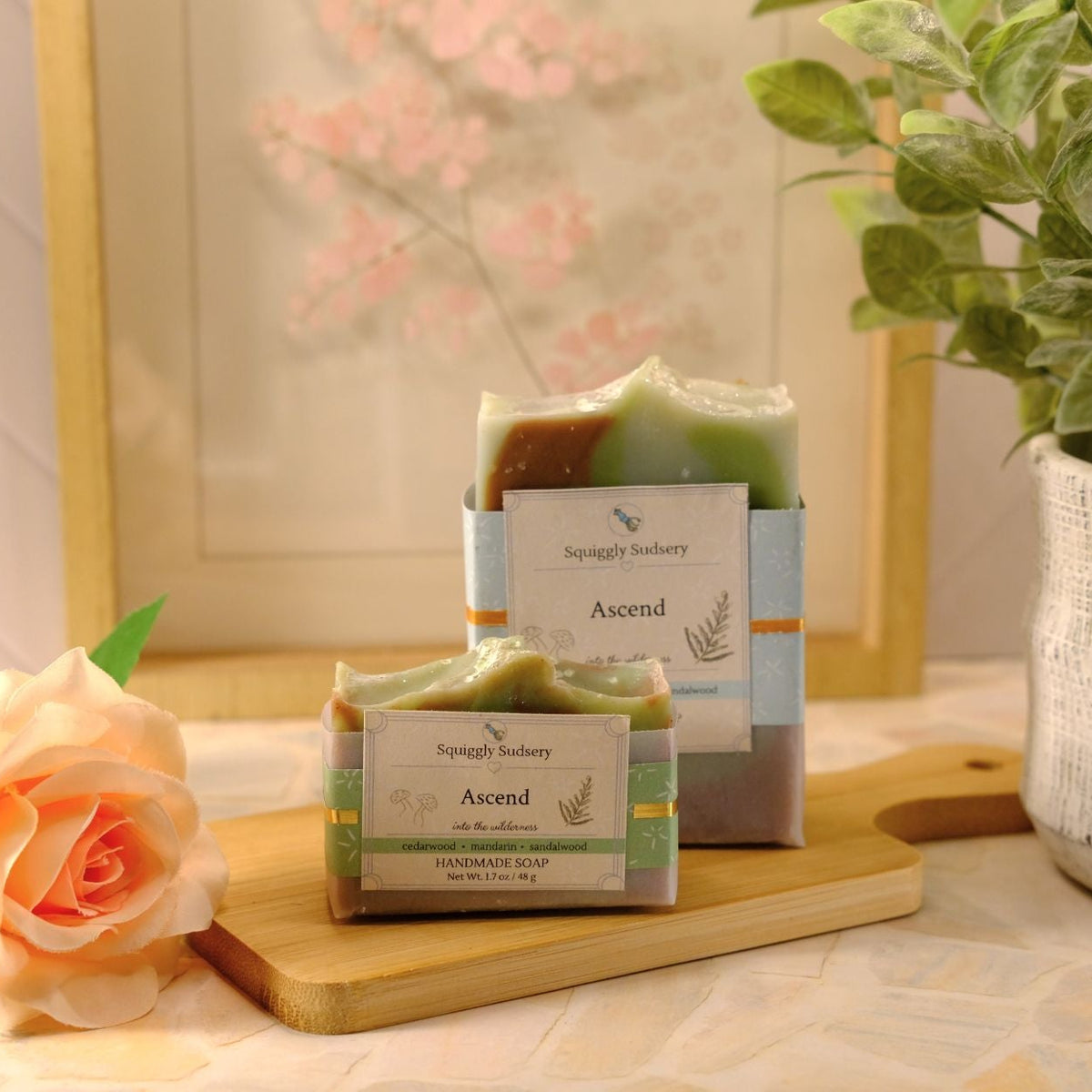 Two bars of soap labeled 'Ascend' by Squiggly Sudsery, styled on a wooden board with a peach rose and a potted plant in a warm, soft-focus setting.