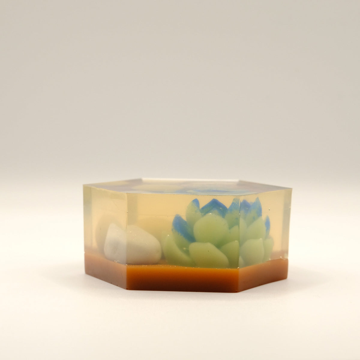 Hexagonal soap bar with embedded stones and succulent on a white background